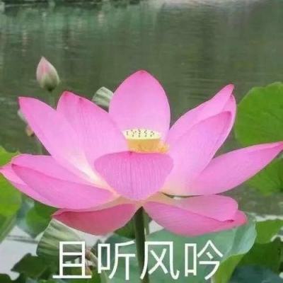 周运︱桥川时雄未入集的文章及藏书
